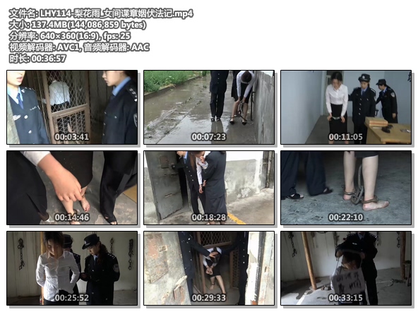 LHY114-梨花雨_女间谍章姻伏法记