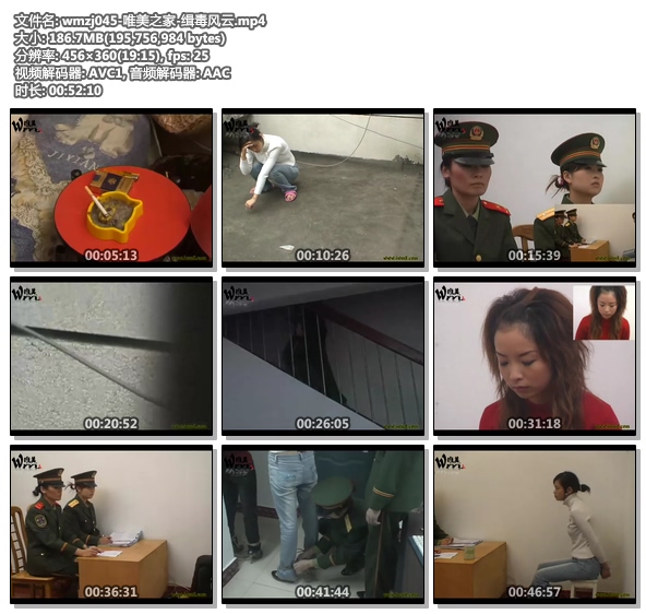 wmzj045-唯美之家-缉毒风云